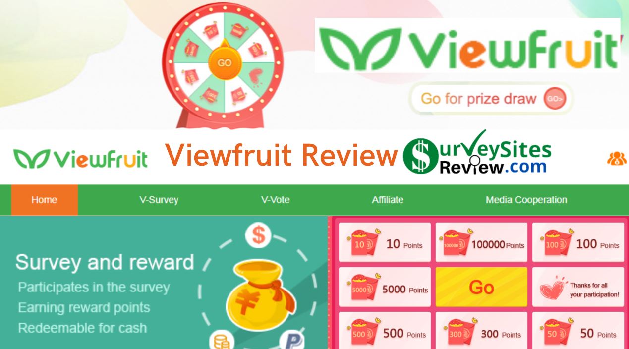 Viewfruit survey