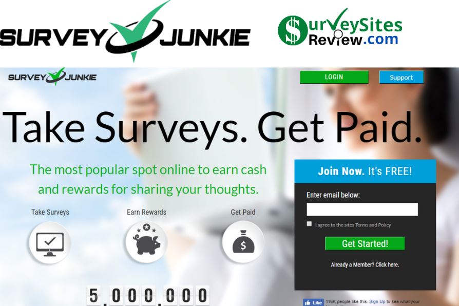 Survey Junkie Surveys