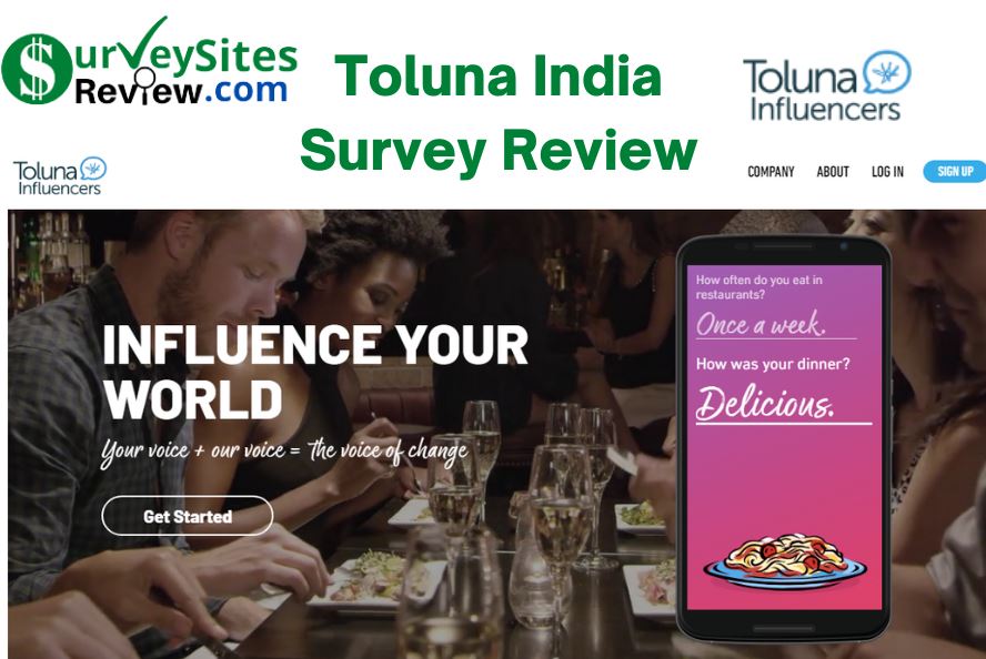 Toluna India survey